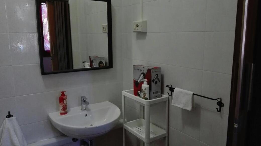La Casa Di Filippo Hotel Pisa Ngoại thất bức ảnh